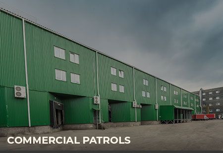 Commercial Patrols Service Maximum Security Swindon