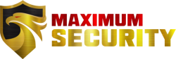 Maximum Security Swindon Logo